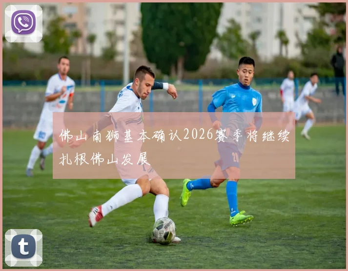 佛山南狮基本确认2026赛季将继续扎根佛山发展